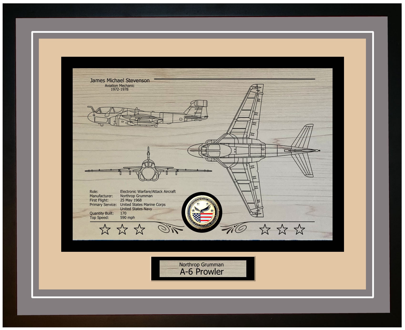 Framed and Engraved Military Aircraft Displays