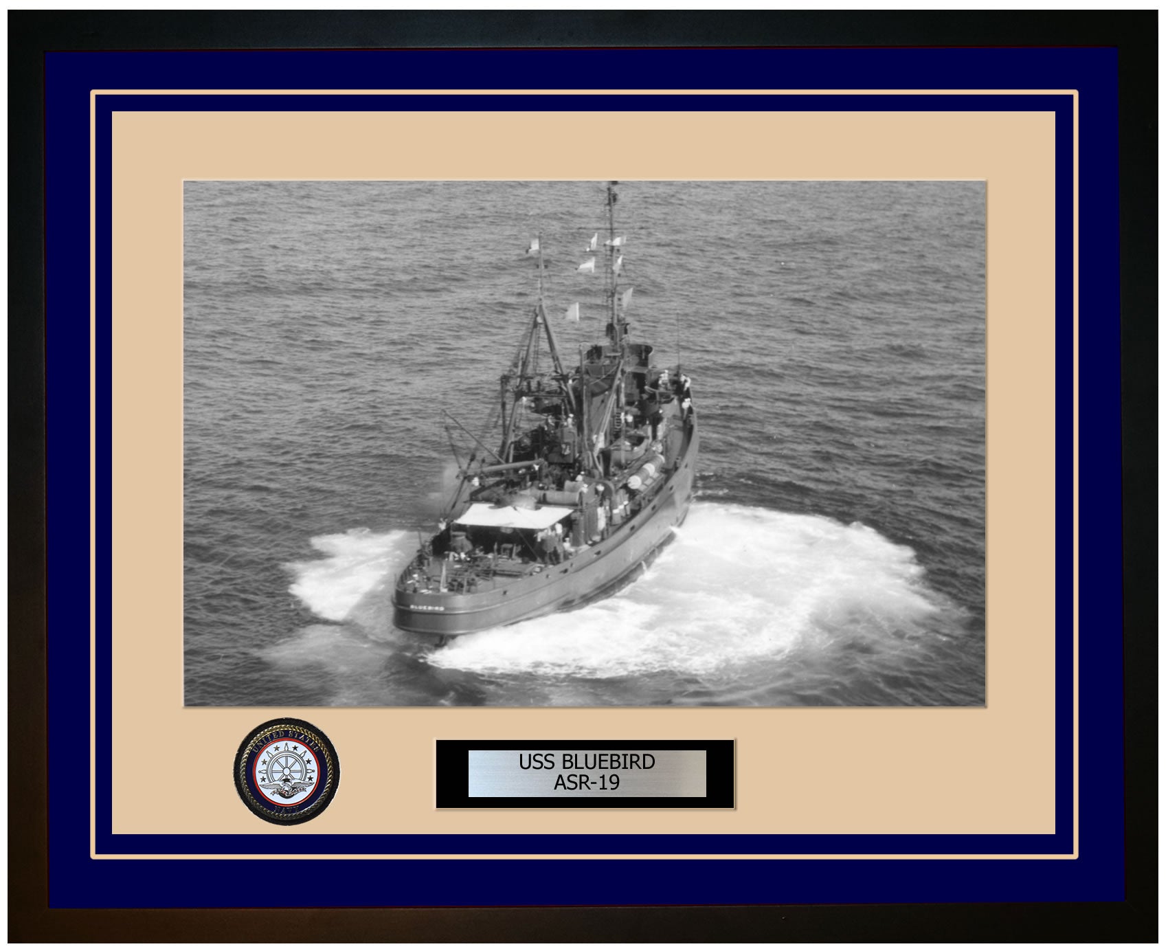 USS BLUEBIRD ASR-19 Framed Navy Ship Photo Blue