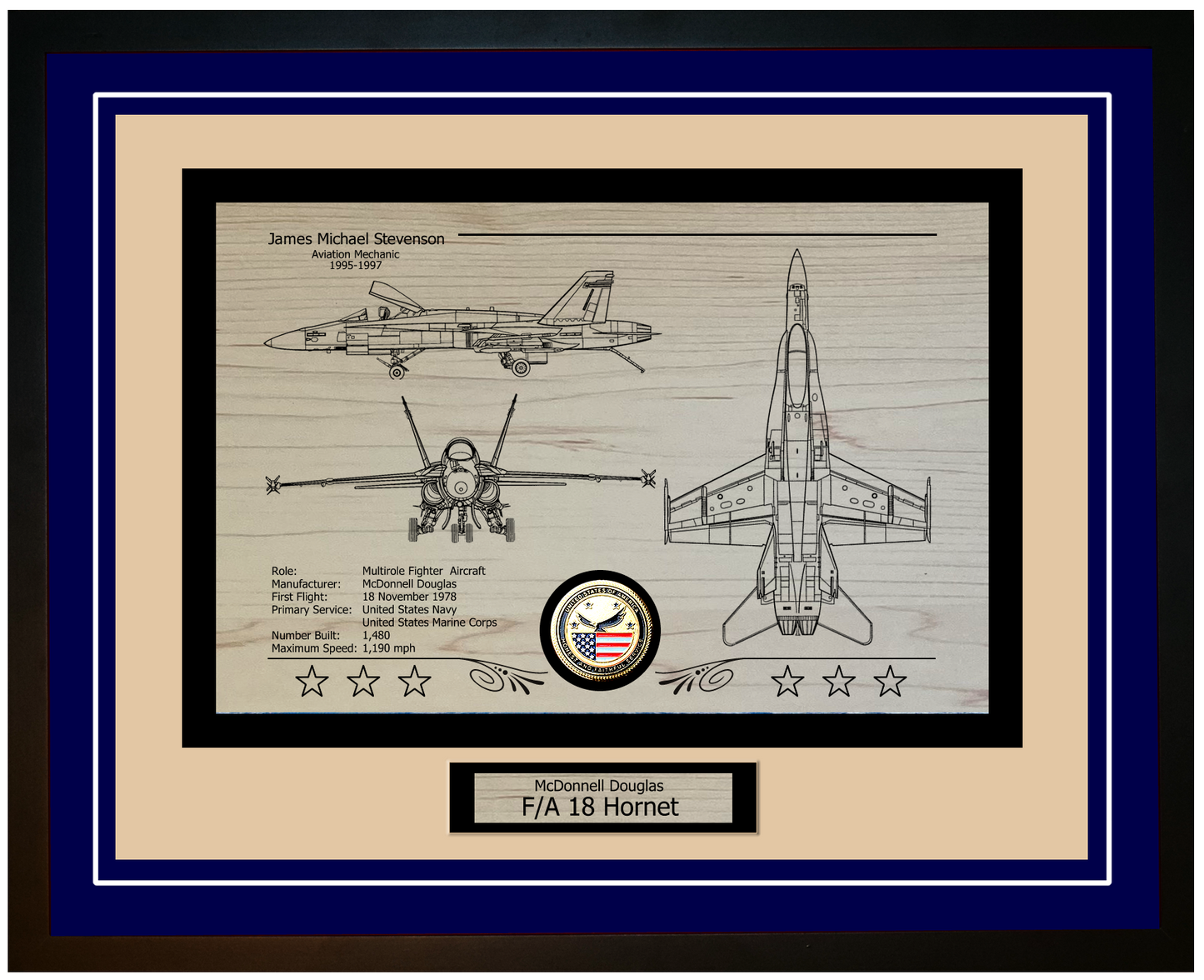 FA-18 Hornet Framed Aircraft Display