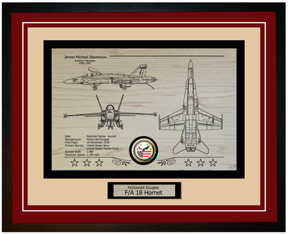 FA-18 Hornet Framed Aircraft Display