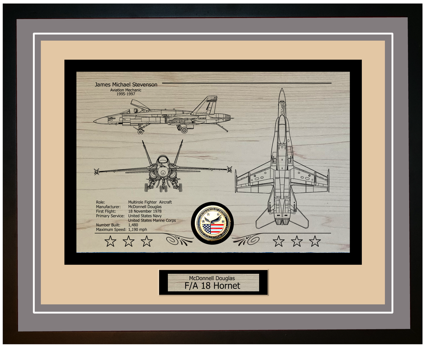 FA-18 Hornet Framed Aircraft Display