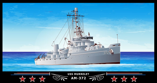 USS Murrelet AM-372 Art Print