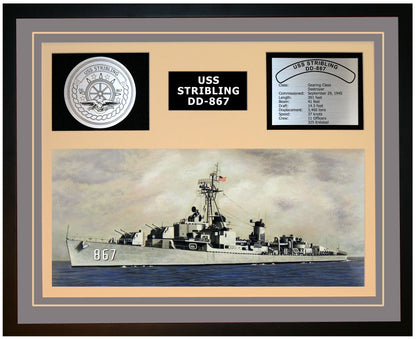 USS STRIBLING DD-867 Framed Navy Ship Display Grey